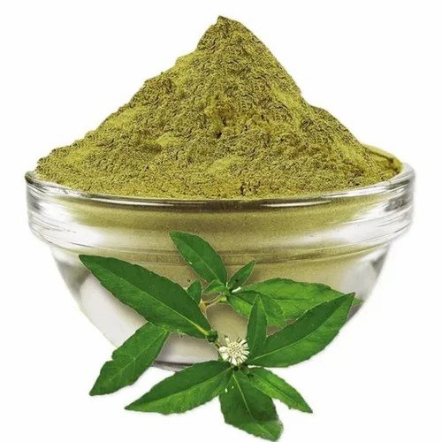 भृंगराज Eclipta alba (Hassk)